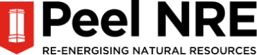 Peel NRE Logo with strapline FULL COLOUR@2x